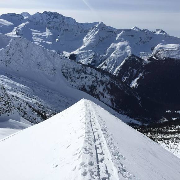 Meet your Posher, Dylan - Picture 1 of 1